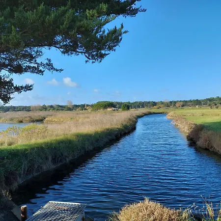 Appartement La Salicorne Au Sables D'olonne Les Sables-dʼOlonne