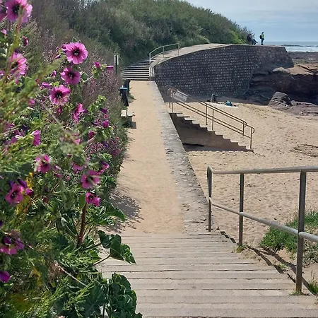 Lägenhet La Salicorne Au Sables D'olonne *