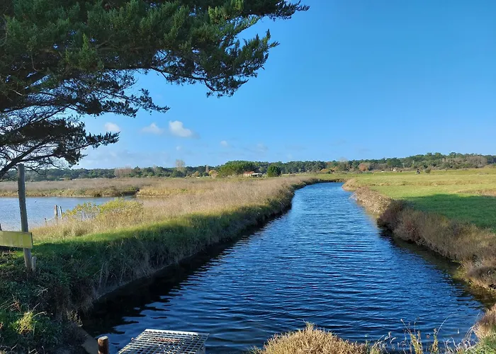 Appartement La Salicorne Au Sables D'olonne Les Sables-dʼOlonne