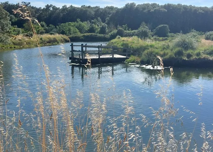 Appartement La Salicorne Au Sables D'olonne Les Sables-dʼOlonne