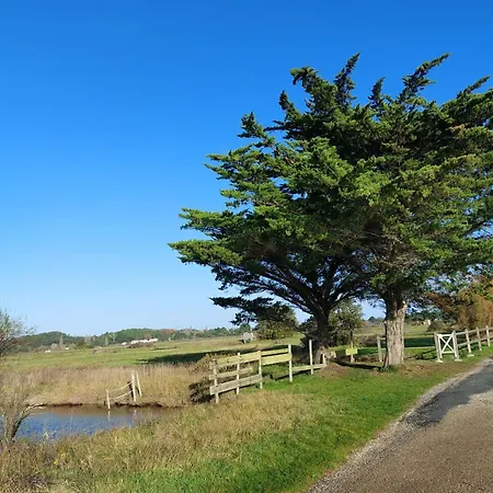 La Salicorne Au Sables D'olonne Appartement *