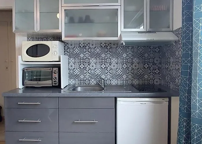 La Salicorne Au Sables D'olonne *