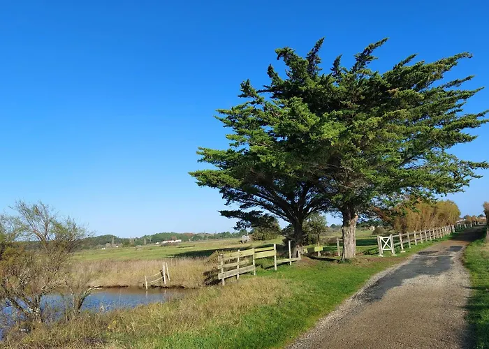 La Salicorne Au Sables D'olonne Appartamento *