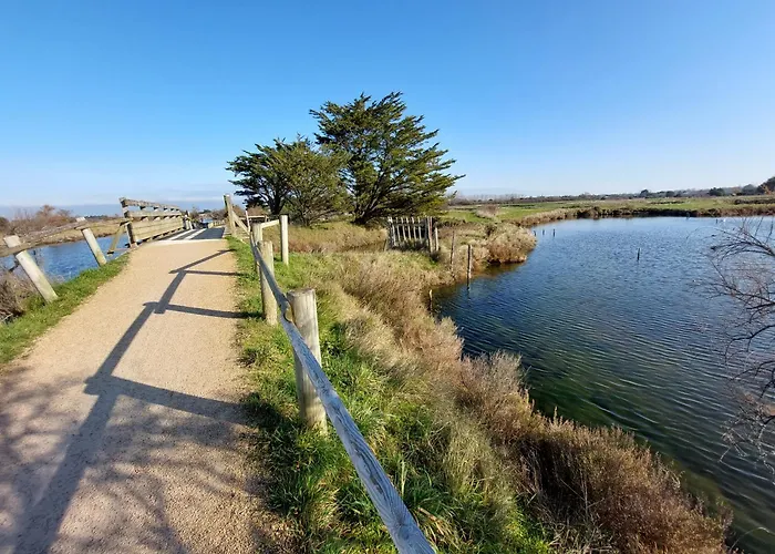 La Salicorne Au Sables D'olonne * Les Sables-dʼOlonne