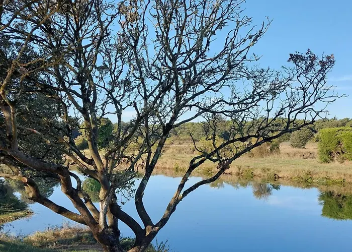 La Salicorne Au Sables D'olonne Appartamento